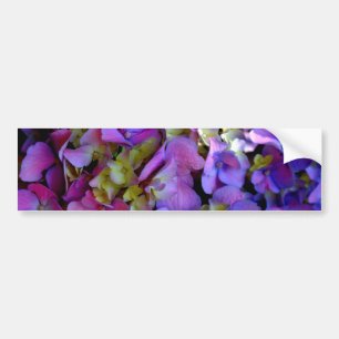 Magenta Paars blauw Hydrangeenbloemen Bumpersticker