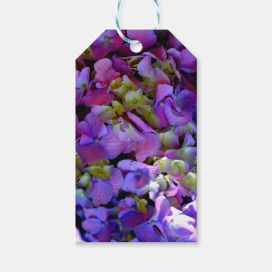 Magenta Paars blauw Hydrangeenbloemen Cadeaulabel (Voorkant)
