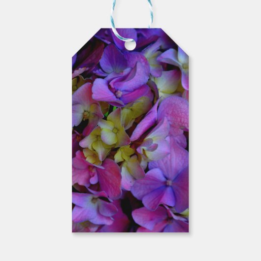 Magenta Paars blauw Hydrangeenbloemen Cadeaulabel (Achterkant)