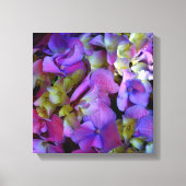 Magenta Paars blauw Hydrangeenbloemen Canvas Afdruk (Voorkant)