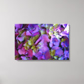 Magenta Paars blauw Hydrangeenbloemen Canvas Afdruk (Voorkant)