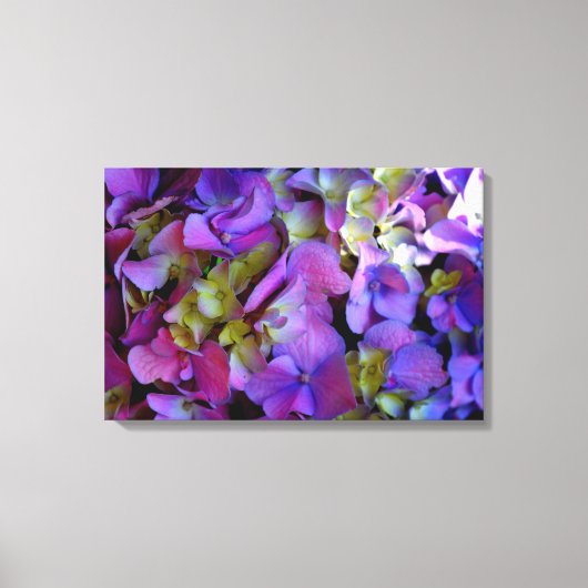 Magenta Paars blauw Hydrangeenbloemen Canvas Afdruk (Voorkant)