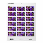 Magenta Paars blauw Hydrangeenbloemen Etiket (Full Sheet)