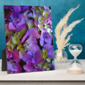 Magenta Paars blauw Hydrangeenbloemen Fotoplaat (Zijkant)