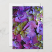 Magenta Paars blauw Hydrangeenbloemen Kaart (Achterkant)