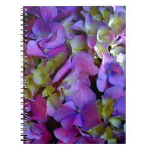 Magenta Paars blauw Hydrangeenbloemen Notitieboek