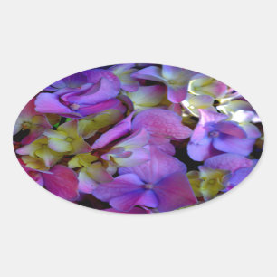 Magenta Paars blauw Hydrangeenbloemen Ovale Sticker