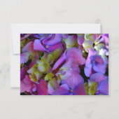 Magenta Paars blauw Hydrangeenbloemen Save The Date (Achterkant)