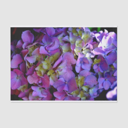 Magenta Paars blauw Hydrangeenbloemen Tissuepapier (Voorkant)