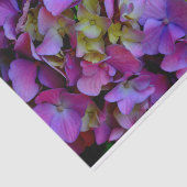 Magenta Paars blauw Hydrangeenbloemen Tissuepapier (Detail)