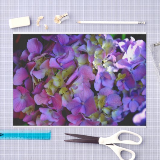 Magenta Paars blauw Hydrangeenbloemen Tissuepapier (Craft)