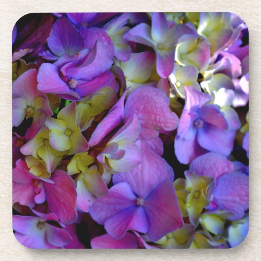 Magenta Paars Hydrangeas Paars blauw geel Bier Onderzetter (Voorkant)