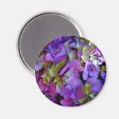 Magenta Paars Hydrangeas Paars blauw geel Magneet (Voorkant / Achterkant)