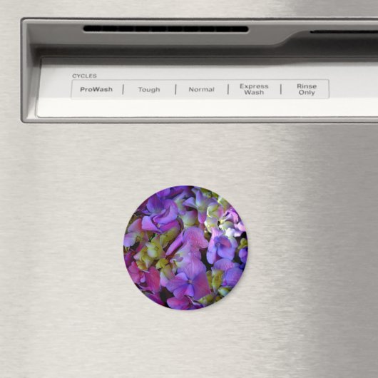 Magenta Paars Hydrangeas Paars blauw geel Magneet (Insitu (Vaatwasser))