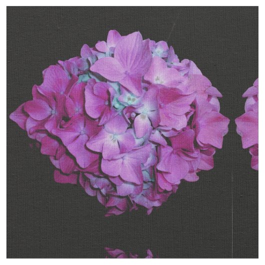 Magenta paarse roze Hydrangea Stof (Close Up)