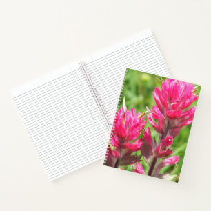 Magenta Paintbrush Bloeit Bloemen Notitieboek