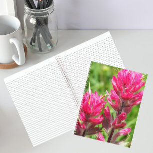 Magenta Paintbrush Blooms Bloem Notitieboek
