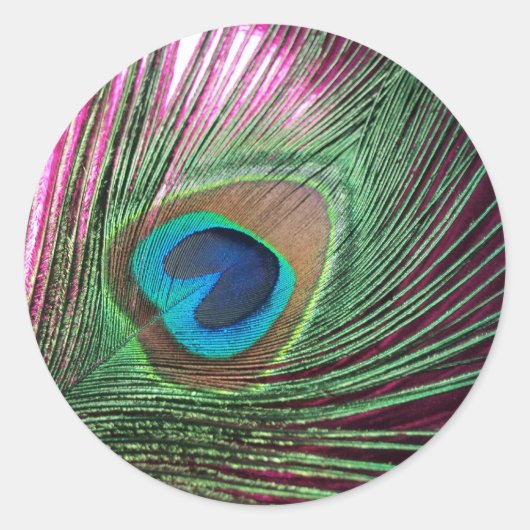 Magenta Peacock Ronde Sticker (Voorkant)
