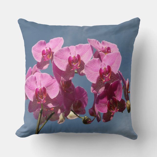 Magenta phalaenopsis orchideeën tegen blauwe hemel kussen (Voorkant)