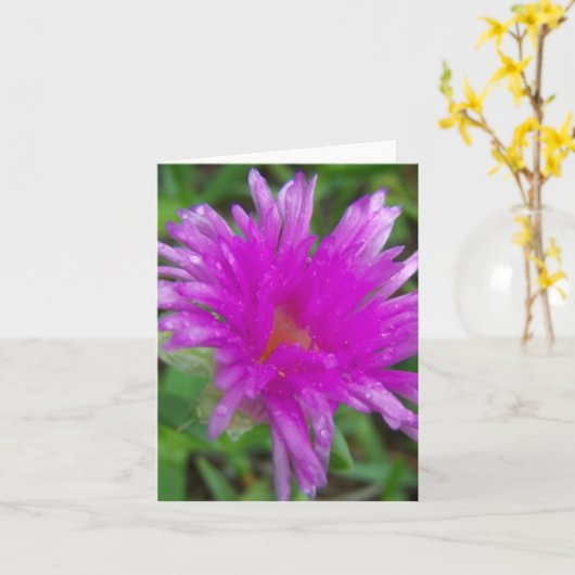 Magenta Pigface Kaart (Gele Bloem)