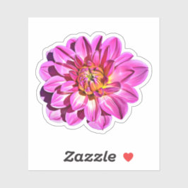 Magenta roze Giant Dahlia Flower Sticker