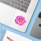 Magenta roze Giant Dahlia Flower Sticker (Laptop met iPhone)