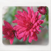 Magenta Roze Mum Flowers Muismat (Voorkant)