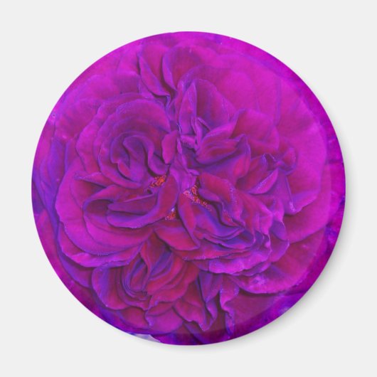 Magenta Roze Puf Magneet (Voorkant)