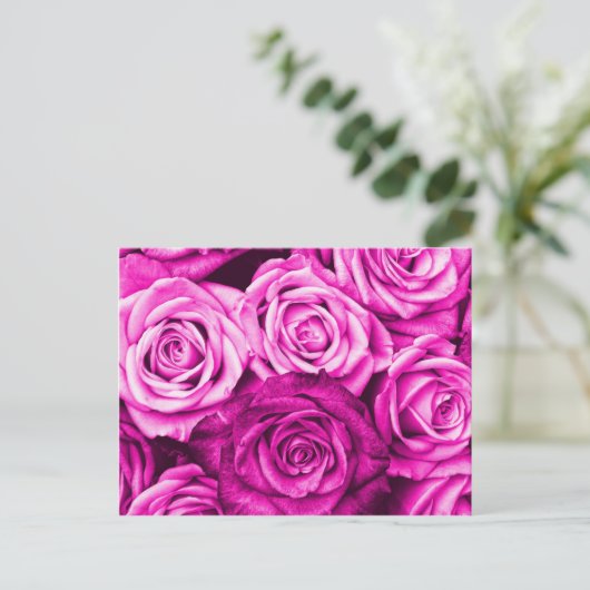  Magenta roze rozen bloemkool Briefkaart (Staand voorkant)