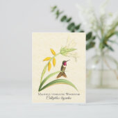Magenta Throated Hummingbird Art Briefkaart (Staand voorkant)