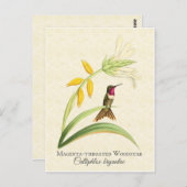 Magenta Throated Hummingbird Art Briefkaart (Voorkant / Achterkant)