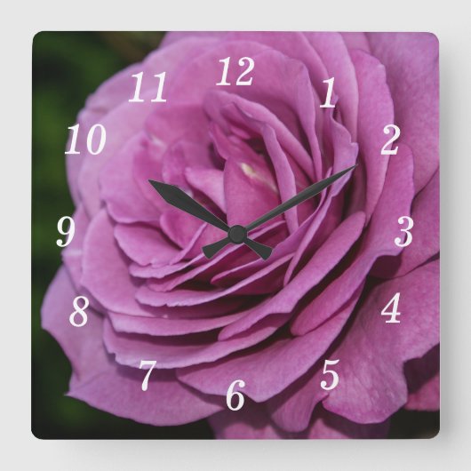 Magenta Tuin Roos Wandklok (Voorkant)