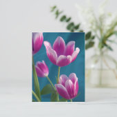 magenta tulips briefkaart (Staand voorkant)
