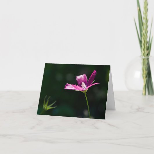 Magenta Wildflower Notecard Kaart (Voorkant)