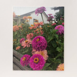 Magenta Zinnia's in de tuin, San Mateo Legpuzzel