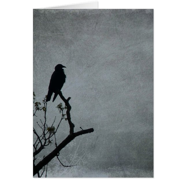 Magestic Crow (Voorkant)