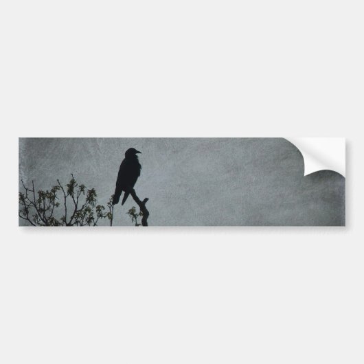 Magestic Crow Bumpersticker (Voorkant)