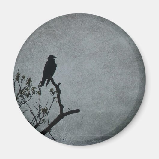 Magestic Crow Magneet (Voorkant)