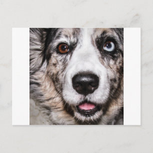 Maggie Briefkaart