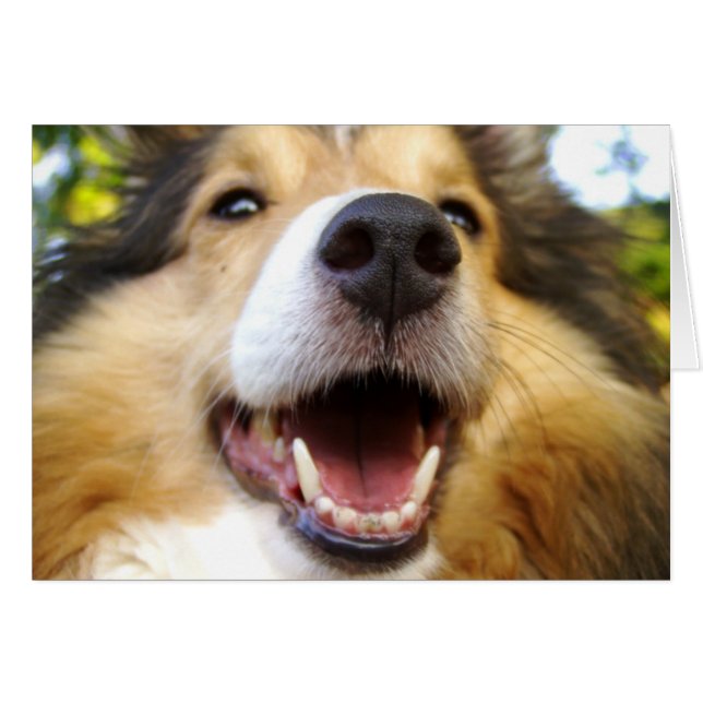 Maggie Card (Voorkant Horizontaal)