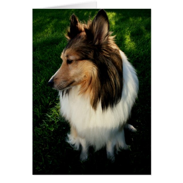 Maggie Card 2 (Voorkant)