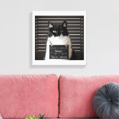 Maggie Cat Mok Shot Canvas Afdruk (Insitu (Woonkamer))
