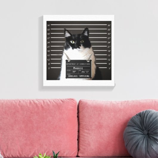 Maggie Cat Mok Shot Canvas Afdruk (Insitu (Woonkamer))