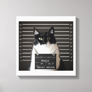 Maggie Cat Mok Shot Canvas Afdruk