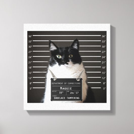 Maggie Cat Mok Shot Canvas Afdruk (Voorkant)