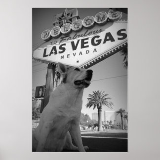 Maggie - Las Vegas Bord Poster