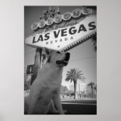Maggie - Las Vegas Sign Poster (Voorkant)