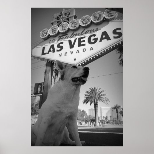 Maggie - Las Vegas Sign Poster (Voorkant)