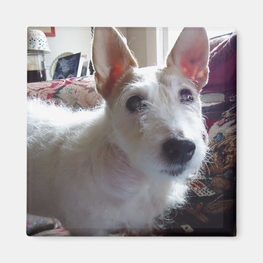 Maggie Mae Magneet (Voorkant)