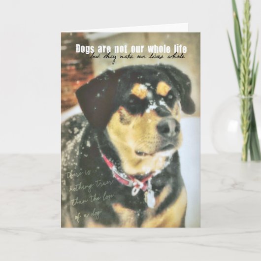 MAGGIE MAE WENSKAART BEDANKKAART (Voorkant)